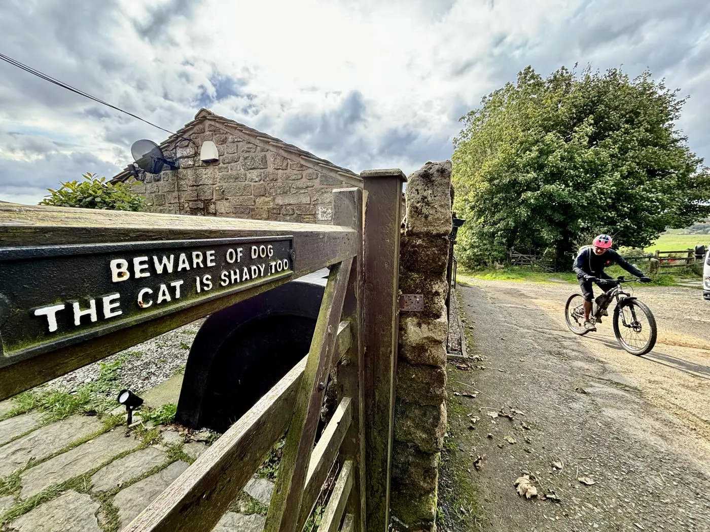 Beware of the Dog the Cat is Shady Too